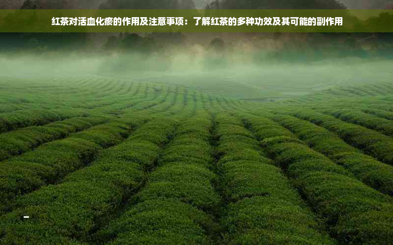 红茶对活血化瘀的作用及注意事项：了解红茶的多种功效及其可能的副作用