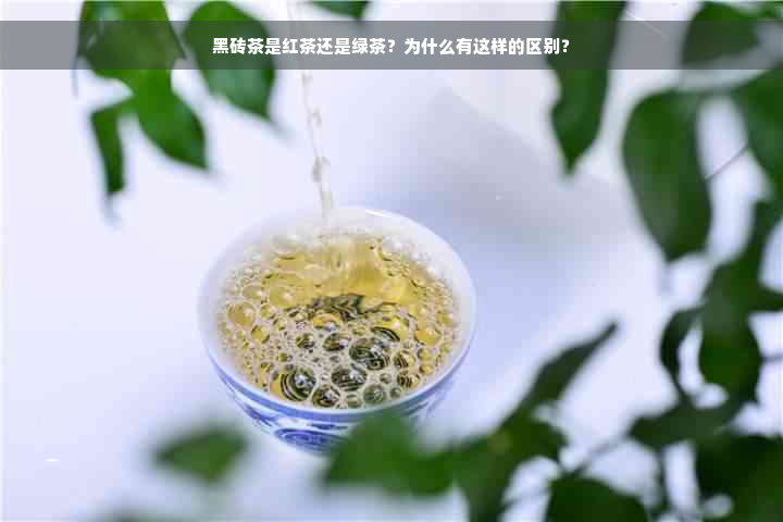 黑砖茶是红茶还是绿茶？为什么有这样的区别？