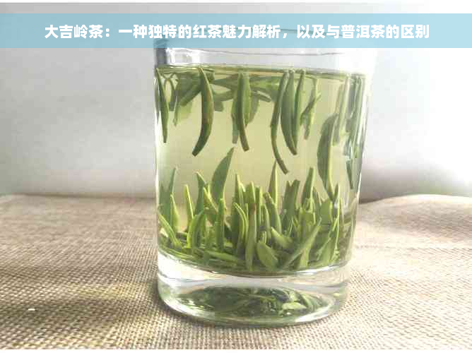 大吉岭茶：一种独特的红茶魅力解析，以及与普洱茶的区别