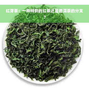 红芽茶：一种特别的红茶还是普洱茶的分支？