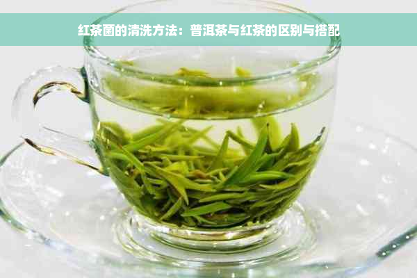 红茶菌的清洗方法：普洱茶与红茶的区别与搭配