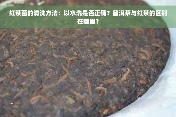 红茶菌的清洗方法：以水洗是否正确？普洱茶与红茶的区别在哪里？