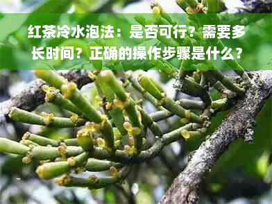 红茶冷水泡法：是否可行？需要多长时间？正确的操作步骤是什么？