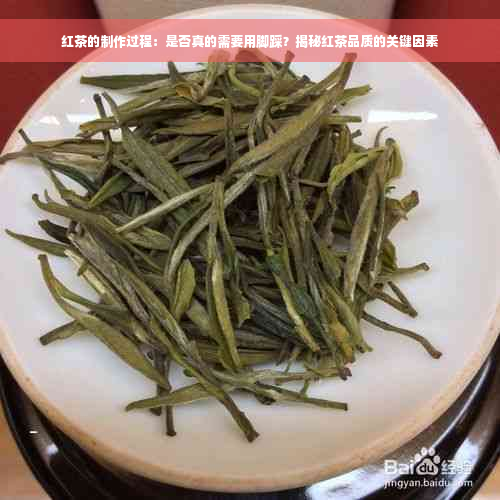 红茶的制作过程：是否真的需要用脚踩？揭秘红茶品质的关键因素