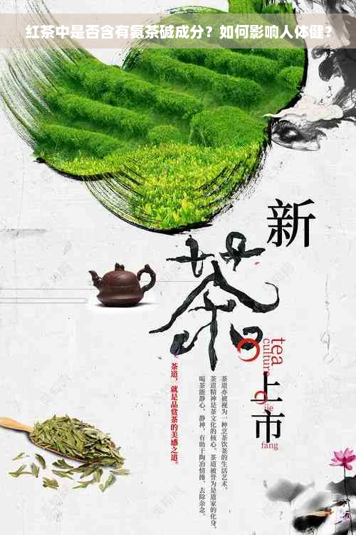 红茶中是否含有氨茶碱成分？如何影响人体健？