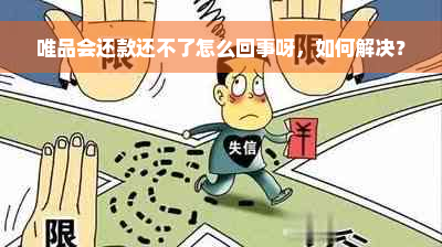 唯品会还款还不了怎么回事呀，如何解决？