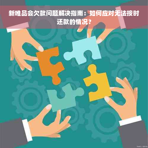 新唯品会欠款问题解决指南：如何应对无法按时还款的情况？