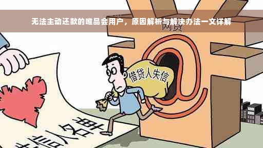 无法主动还款的唯品会用户，原因解析与解决办法一文详解