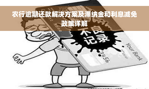 农行逾期还款解决方案及滞纳金和利息减免政策详解