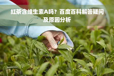 红茶含维生素A吗？百度百科解答疑问及原因分析