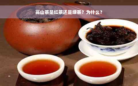 高山茶是红茶还是绿茶？为什么？