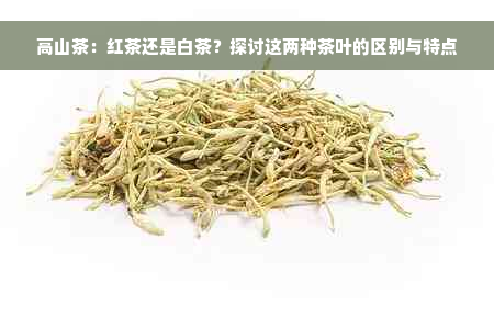 高山茶：红茶还是白茶？探讨这两种茶叶的区别与特点