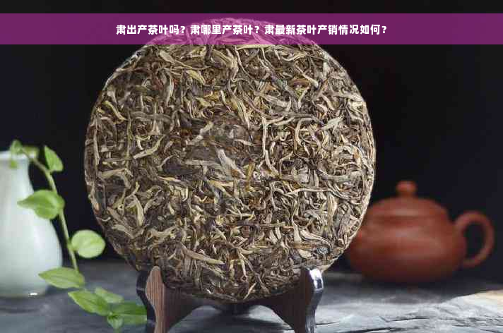 肃出产茶叶吗？肃哪里产茶叶？肃最新茶叶产销情况如何？