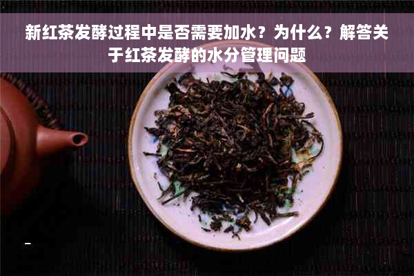 新红茶发酵过程中是否需要加水？为什么？解答关于红茶发酵的水分管理问题