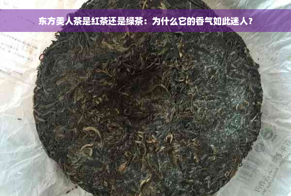 东方美人茶是红茶还是绿茶：为什么它的香气如此迷人？