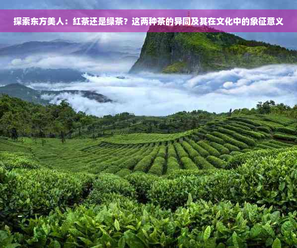 探索东方美人：红茶还是绿茶？这两种茶的异同及其在文化中的象征意义