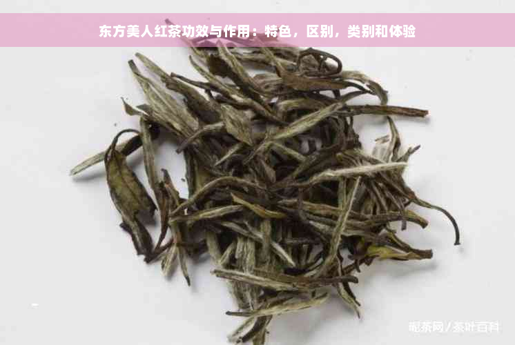 东方美人红茶功效与作用：特色，区别，类别和体验