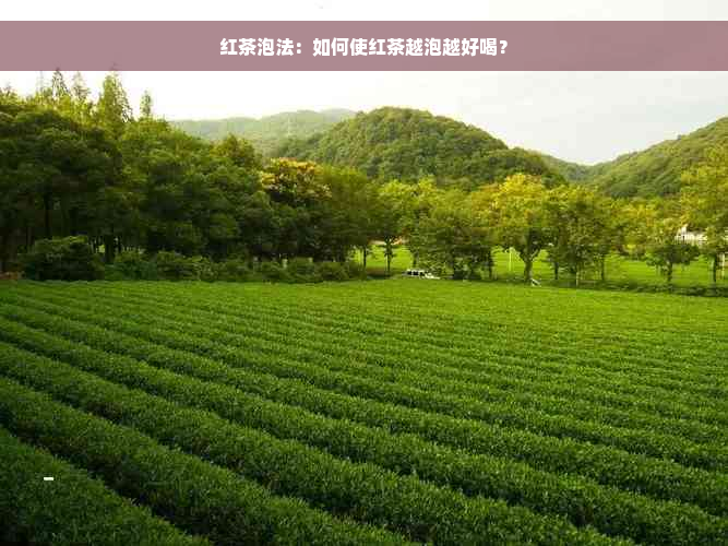 红茶泡法：如何使红茶越泡越好喝？