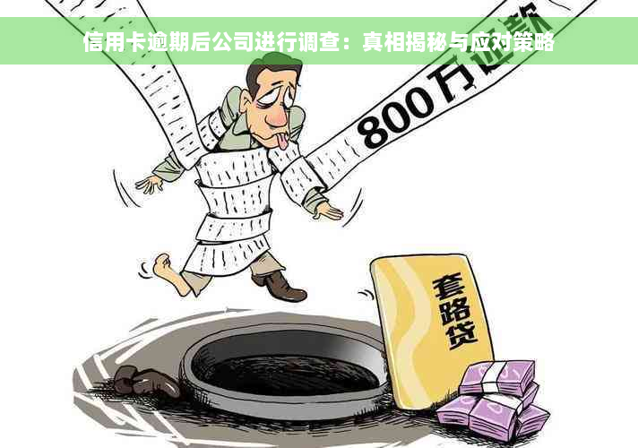 信用卡逾期后公司进行调查：真相揭秘与应对策略