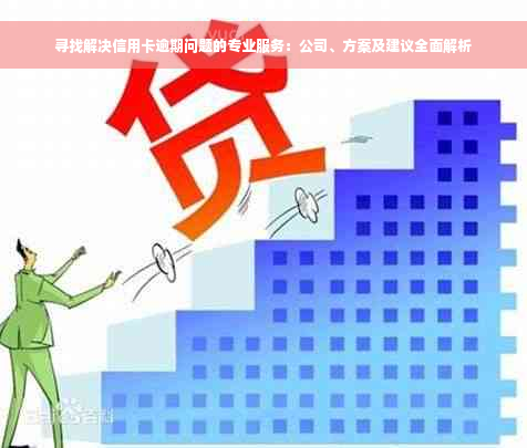 寻找解决信用卡逾期问题的专业服务：公司、方案及建议全面解析