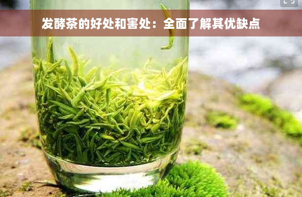 发酵茶的好处和害处：全面了解其优缺点