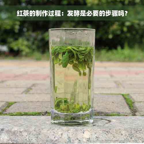 红茶的制作过程：发酵是必要的步骤吗？