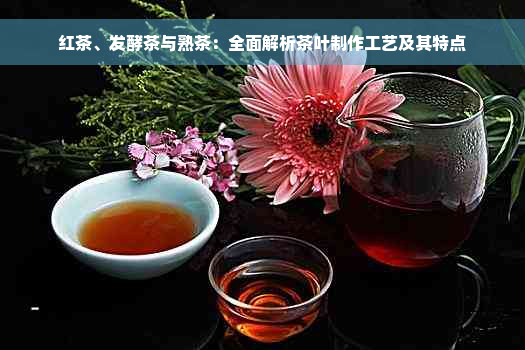 红茶、发酵茶与熟茶：全面解析茶叶制作工艺及其特点