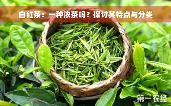 白红茶：一种浓茶吗？探讨其特点与分类