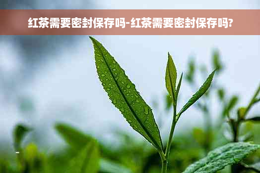 红茶需要密封保存吗-红茶需要密封保存吗?