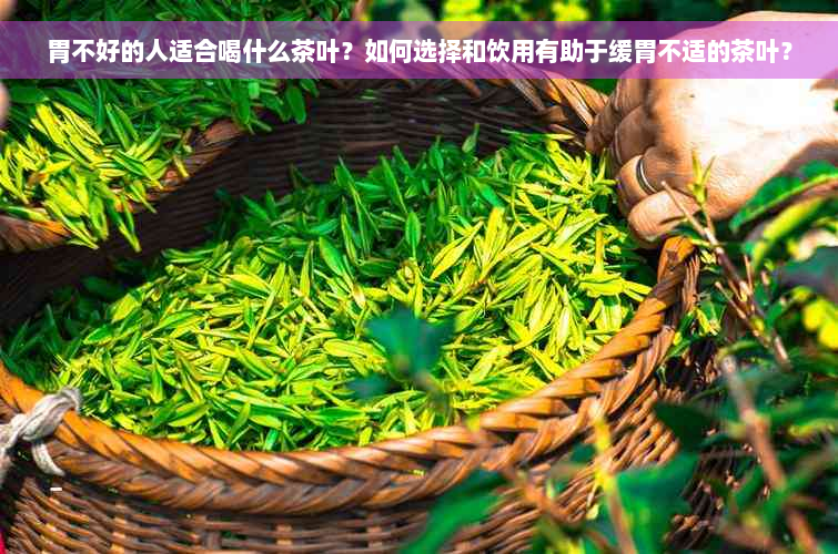 胃不好的人适合喝什么茶叶？如何选择和饮用有助于缓胃不适的茶叶？