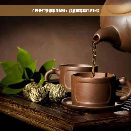 广西云红茶哪家质量好：权威推荐与口感比较