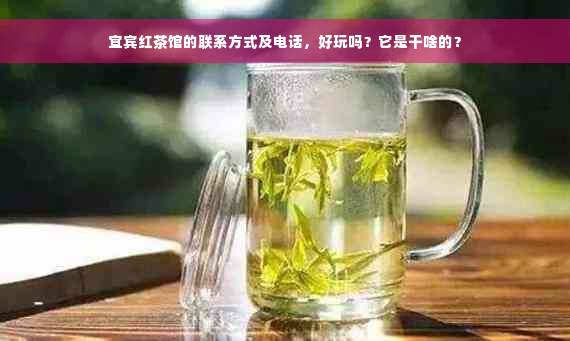 宜宾红茶馆的联系方式及电话，好玩吗？它是干啥的？