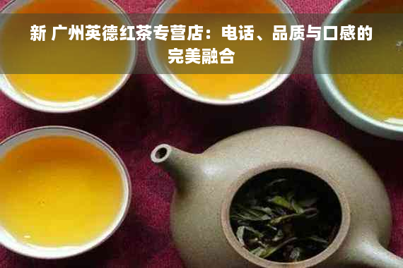 新 广州英德红茶专营店：电话、品质与口感的完美融合