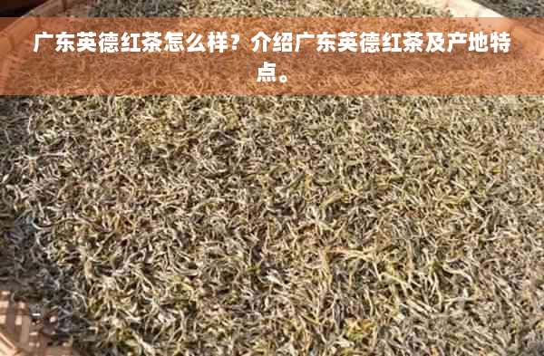 广东英德红茶怎么样？介绍广东英德红茶及产地特点。