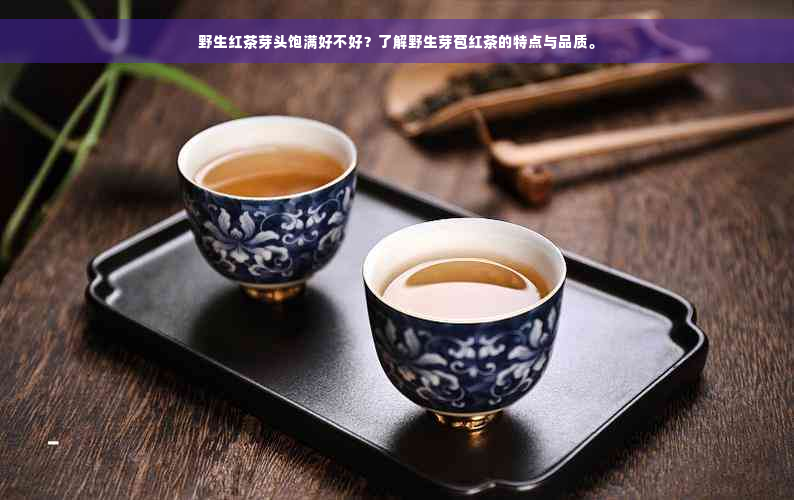 野生红茶芽头饱满好不好？了解野生芽苞红茶的特点与品质。