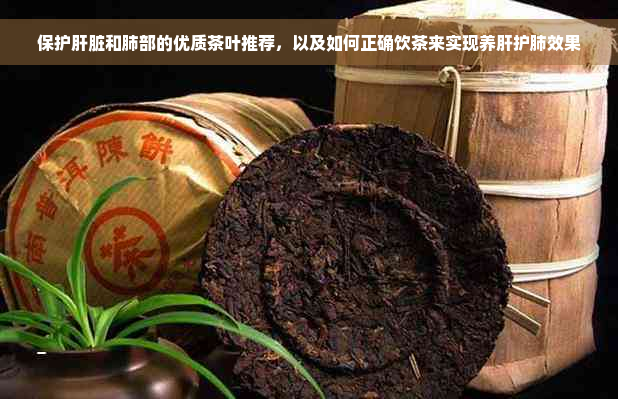 保护肝脏和肺部的优质茶叶推荐，以及如何正确饮茶来实现养肝护肺效果