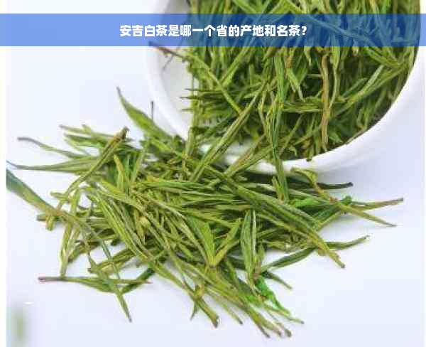 安吉白茶是哪一个省的产地和名茶？