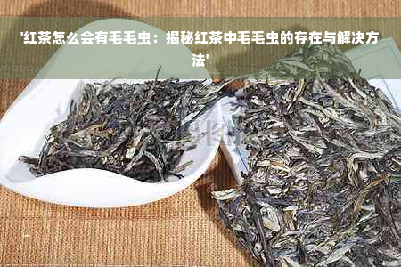 '红茶怎么会有毛毛虫：揭秘红茶中毛毛虫的存在与解决方法'