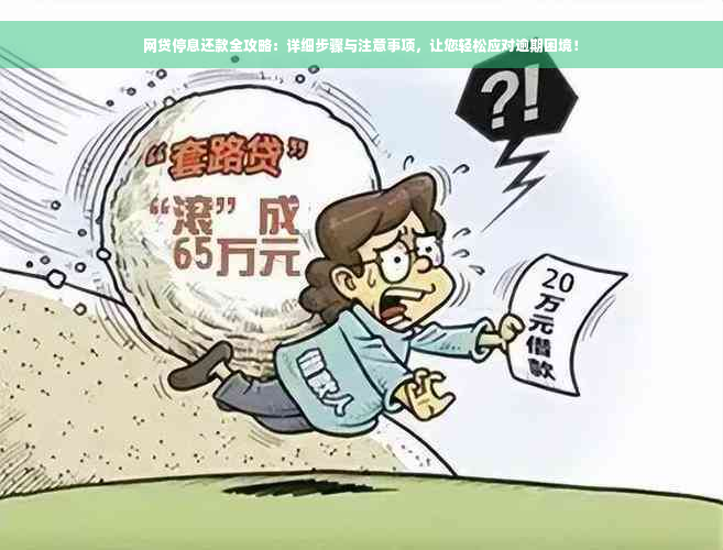 网贷停息还款全攻略：详细步骤与注意事项，让您轻松应对逾期困境！