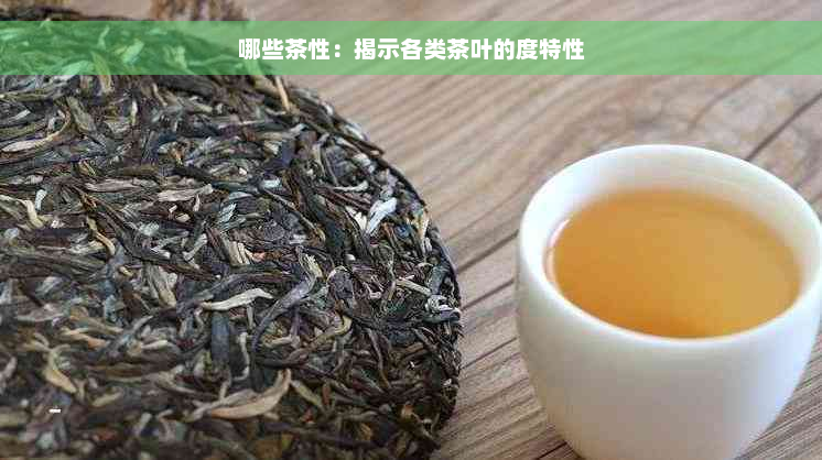 哪些茶性：揭示各类茶叶的度特性