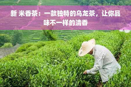 新 米香茶：一款独特的乌龙茶，让你品味不一样的清香