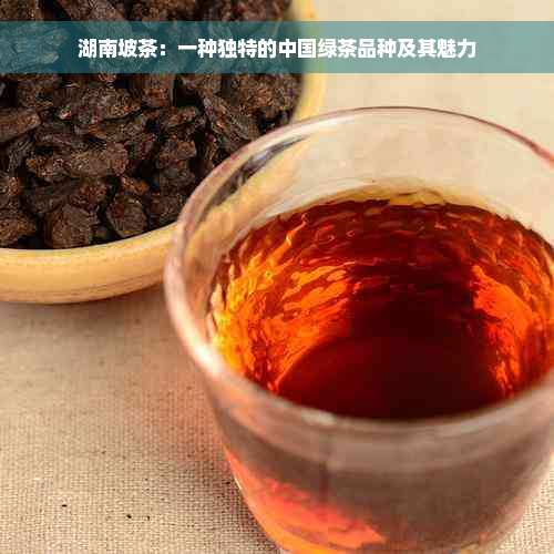 湖南坡茶：一种独特的中国绿茶品种及其魅力