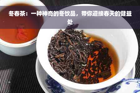 冬春茶：一种神奇的冬饮品，带你迎接春天的健益处