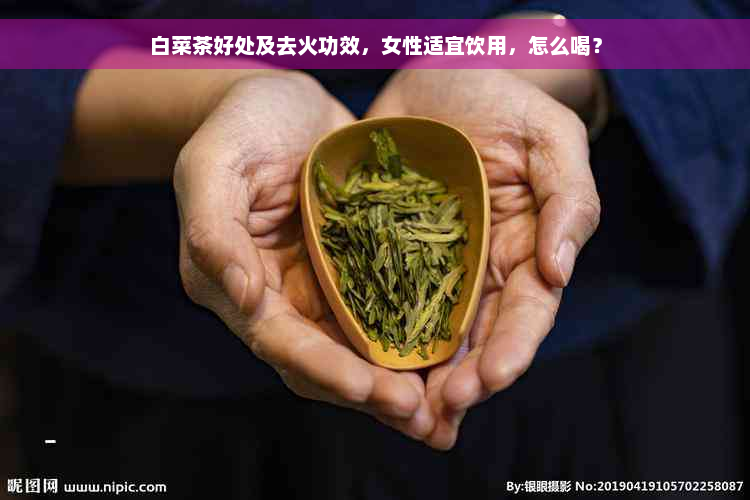 白菜茶好处及去火功效，女性适宜饮用，怎么喝？