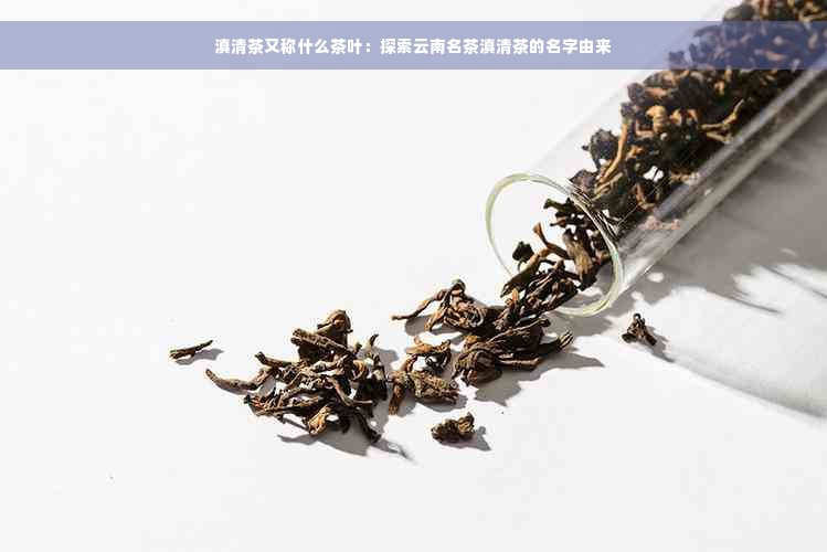 滇清茶又称什么茶叶：探索云南名茶滇清茶的名字由来