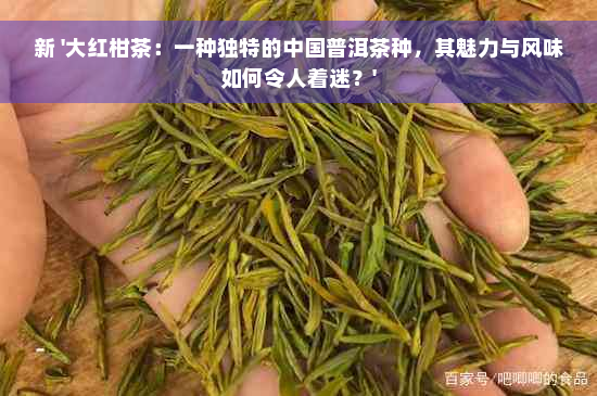 新 '大红柑茶：一种独特的中国普洱茶种，其魅力与风味如何令人着迷？'