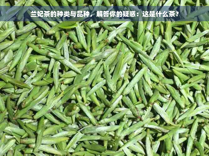 兰妃茶的种类与品种，解答你的疑惑：这是什么茶？