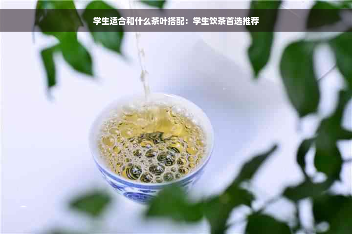 学生适合和什么茶叶搭配：学生饮茶首选推荐