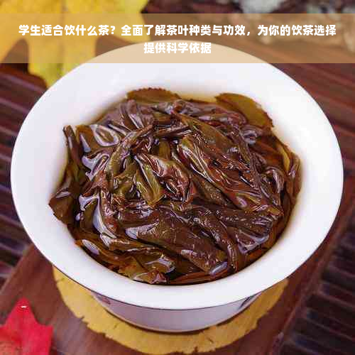 学生适合饮什么茶？全面了解茶叶种类与功效，为你的饮茶选择提供科学依据