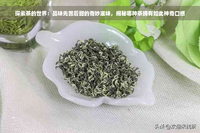 探索茶的世界：品味先苦后甜的奇妙滋味，揭秘哪种茶拥有如此神奇口感